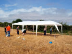 A gazebo shelter for the diggers is nearly erected