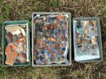 Three trays of freshly washed pottery and bone finds out in the sun to dry